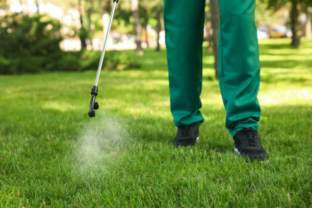 Best Local Pest Control Services  in Lutz, FL