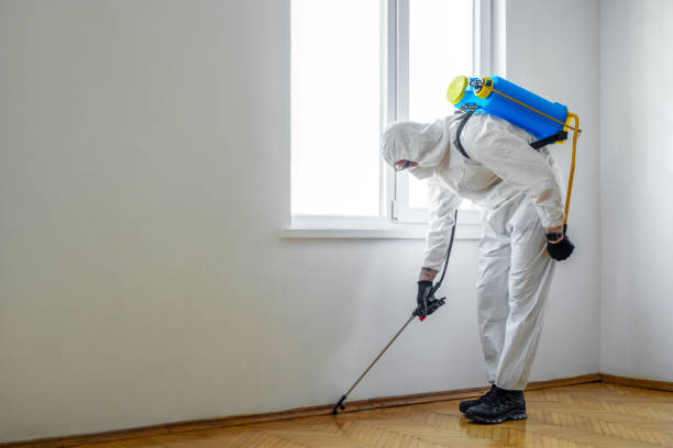 Trusted Lutz, FL Pest Control Experts