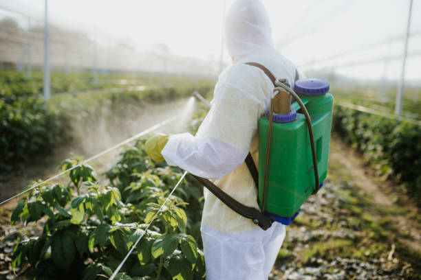 Best Affordable Pest Control Services  in Lutz, FL